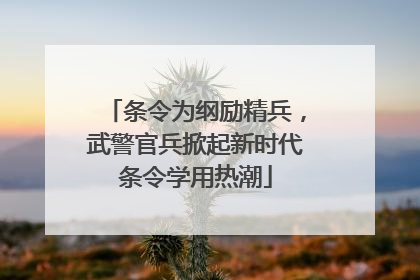 条令为纲励精兵，武警官兵掀起新时代条令学用热潮