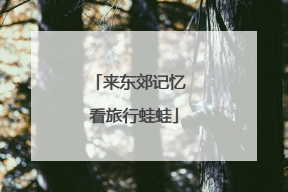 来东郊记忆 看旅行蛙蛙