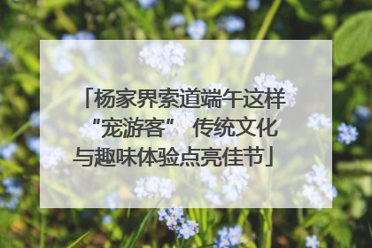 杨家界索道端午这样“宠游客” 传统文化与趣味体验点亮佳节