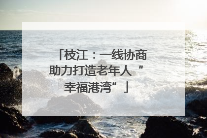 枝江：一线协商助力打造老年人“幸福港湾”