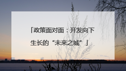 政策面对面：开发向下生长的“未来之城”