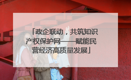 政企联动，共筑知识产权保护网——赋能民营经济高质量发展