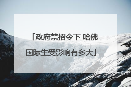 政府禁招令下 哈佛国际生受影响有多大
