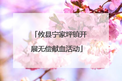 攸县宁家坪镇开展无偿献血活动