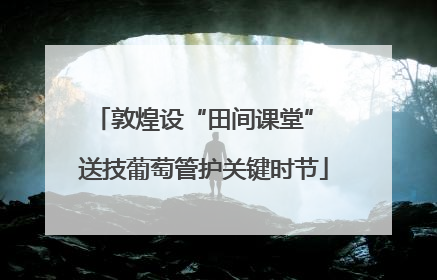 敦煌设“田间课堂” 送技葡萄管护关键时节