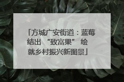 方城广安街道：蓝莓结出 “致富果” 绘就乡村振兴新图景