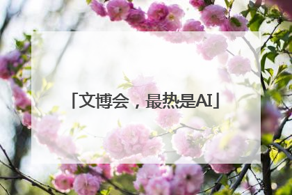 文博会，最热是AI