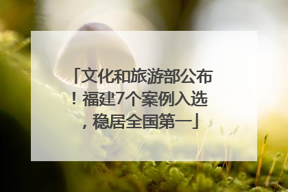 文化和旅游部公布！福建7个案例入选，稳居全国第一