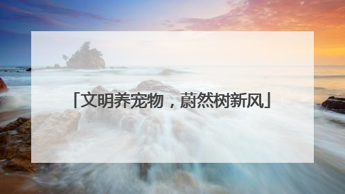 文明养宠物,蔚然树新风