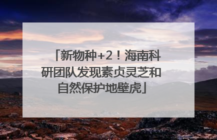 新物种+2！海南科研团队发现素贞灵芝和自然保护地壁虎