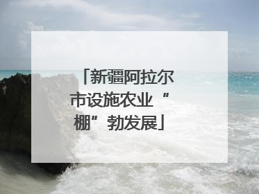新疆阿拉尔市设施农业“棚”勃发展