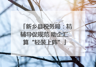 新乡县税务局：精辅导促规范 助企汇算“轻装上阵”
