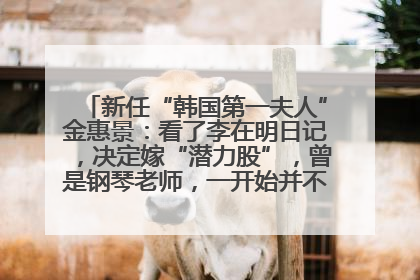 新任“韩国第一夫人”金惠景：看了李在明日记，决定嫁“潜力股”，曾是钢琴老师，一开始并不支持丈夫从政