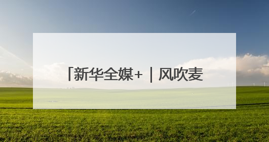 新华全媒+｜风吹麦浪好“丰”景——多地小麦机收一线见闻