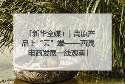 新华全媒+｜高原产品上“云”端——西藏电商发展一线观察