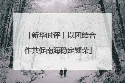 新华时评丨以团结合作共促南海稳定繁荣
