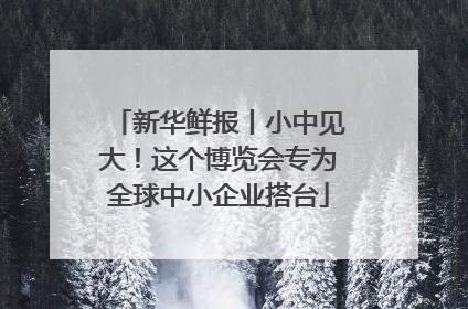 新华鲜报丨小中见大！这个博览会专为全球中小企业搭台