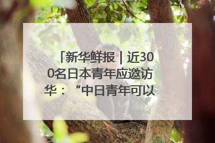 新华鲜报｜近300名日本青年应邀访华：“中日青年可以创造更好的未来”