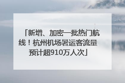 新增、加密一批热门航线！杭州机场暑运客流量预计超910万人次
