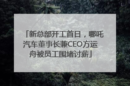 新总部开工首日，哪吒汽车董事长兼CEO方运舟被员工围堵讨薪