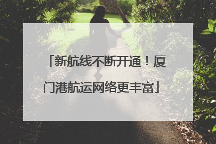 新航线不断开通！厦门港航运网络更丰富
