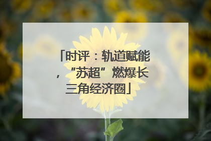 时评：轨道赋能，“苏超”燃爆长三角经济圈