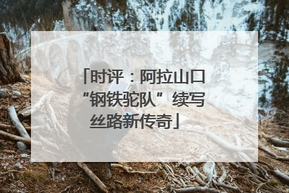 时评：阿拉山口“钢铁驼队”续写丝路新传奇