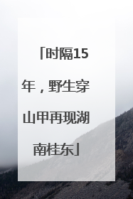 时隔15年，野生穿山甲再现湖南桂东
