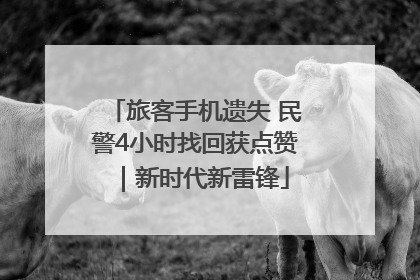 旅客手机遗失 民警4小时找回获点赞｜新时代新雷锋