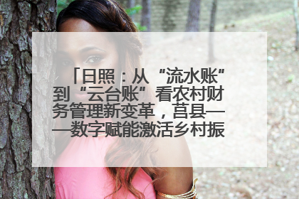 日照：从“流水账”到“云台账”看农村财务管理新变革，莒县——数字赋能激活乡村振兴“一池春水”