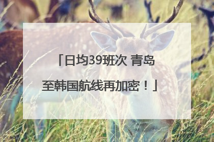 日均39班次 青岛至韩国航线再加密！