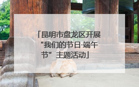 昆明市盘龙区开展“我们的节日·端午节”主题活动