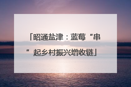 昭通盐津：蓝莓“串”起乡村振兴增收链