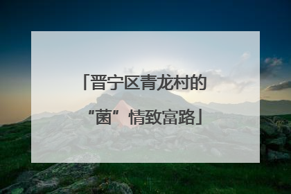 晋宁区青龙村的“菌”情致富路