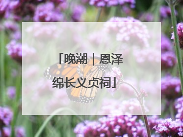 晚潮｜恩泽绵长义贞祠