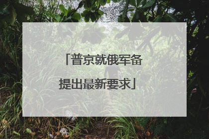 普京就俄军备提出最新要求