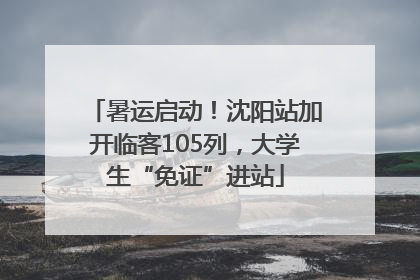 暑运启动！沈阳站加开临客105列，大学生“免证”进站