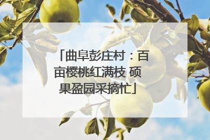 曲阜彭庄村：百亩樱桃红满枝 硕果盈园采摘忙
