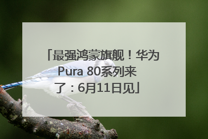 最强鸿蒙旗舰！华为Pura 80系列来了：6月11日见