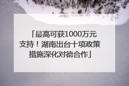 最高可获1000万元支持！湖南出台十项政策措施深化对德合作