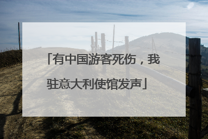 有中国游客死伤，我驻意大利使馆发声