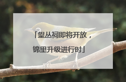 望丛祠即将开放，锦里升级进行时