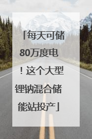 每天可储80万度电！这个大型锂钠混合储能站投产