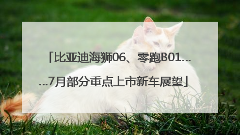 比亚迪海狮06、零跑B01……7月部分重点上市新车展望