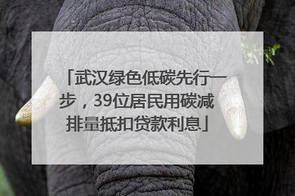 武汉绿色低碳先行一步，39位居民用碳减排量抵扣贷款利息