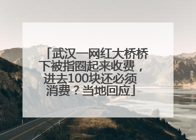 武汉一网红大桥桥下被指圈起来收费，进去100块还必须消费？当地回应