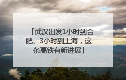 武汉出发1小时到合肥、3小时到上海，这条高铁有新进展