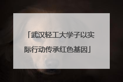 武汉轻工大学子以实际行动传承红色基因