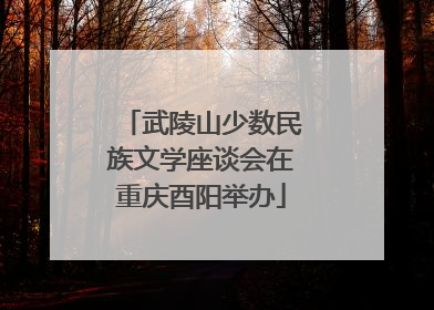 武陵山少数民族文学座谈会在重庆酉阳举办