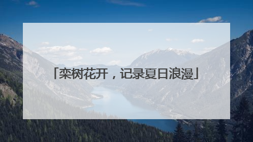 栾树花开，记录夏日浪漫